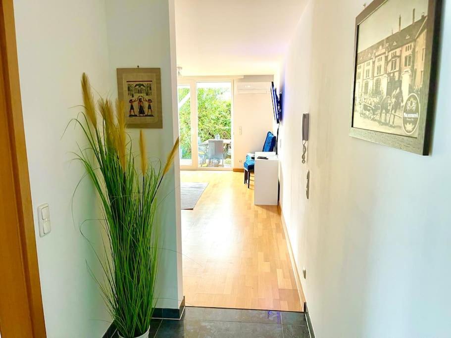 Schoene Wohnung Mit Eigenen Eingang Und Terrasse Gosseling Eksteriør bilde